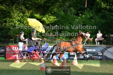 ref. photo 3722140