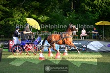 ref. photo 3722145