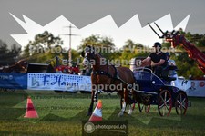 ref. photo 3722149