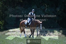 ref. photo 3722291