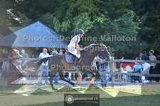 ref. photo 3722668