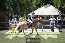ref. photo 3722947