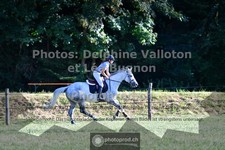 ref. photo 3723209