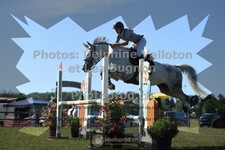ref. photo 3723215