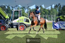 ref. photo 3723303