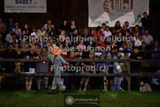 ref. photo 3725623