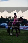 ref. photo 3725942