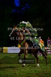 ref. photo 3726245