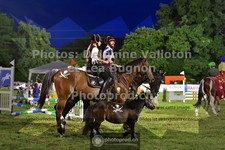 ref. photo 3726526
