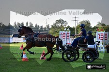 ref. photo 3265091