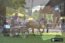ref. photo 3265114