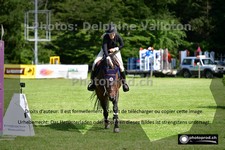 ref. photo 3265135