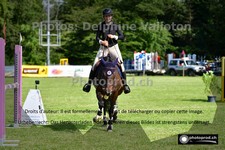 ref. photo 3265136