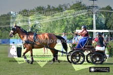 ref. photo 3265151