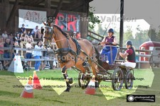 ref. photo 3265154
