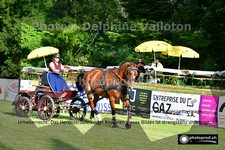 ref. photo 3265159