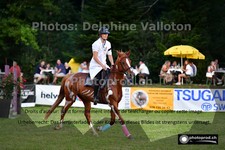 ref. photo 3265186