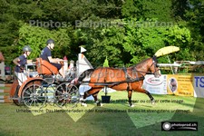 ref. photo 3265434