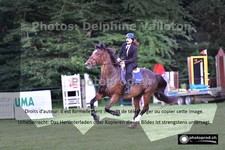 ref. photo 3265453