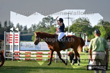 ref. photo 3265602