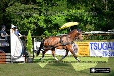 ref. photo 3265631