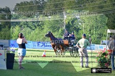 ref. photo 3265824