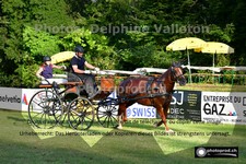 ref. photo 3265844