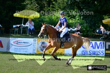 ref. photo 3265880
