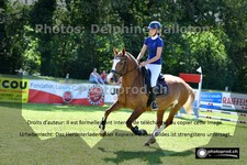 ref. photo 3265890