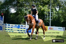 ref. photo 3265943