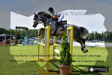 ref. photo 3265958