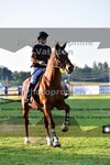 ref. photo 3266051