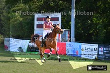 ref. photo 3266192