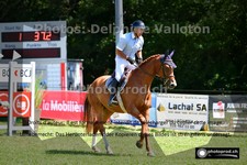 ref. photo 3266364