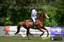 ref. photo 3266416