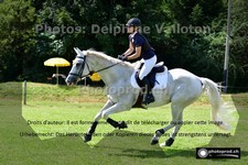 ref. photo 3266491
