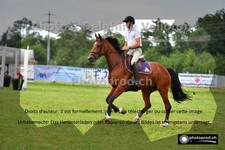 ref. photo 3266721