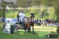 ref. photo 3266847