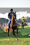 ref. photo 3266863