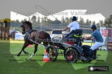 ref. photo 3266874
