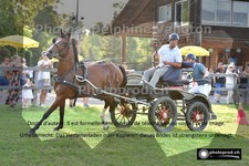 ref. photo 3266884