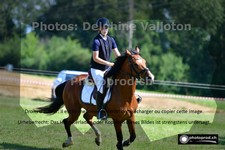ref. photo 3267084