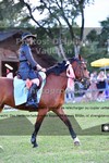 ref. photo 3267111