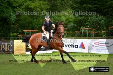 ref. photo 3267143