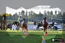 ref. photo 3267265