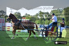 ref. photo 3267281