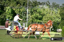 ref. photo 3267290