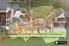 ref. photo 3267297