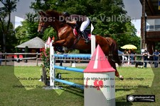 ref. photo 3267316