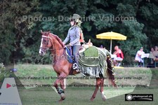 ref. photo 3267417